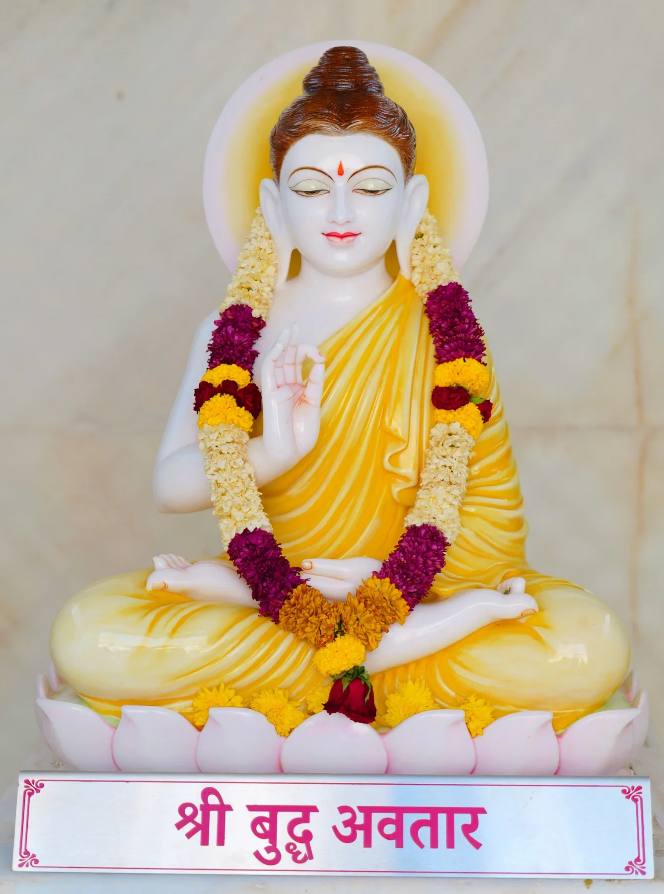 Sri Buddha Avatar - the teacher of compassion